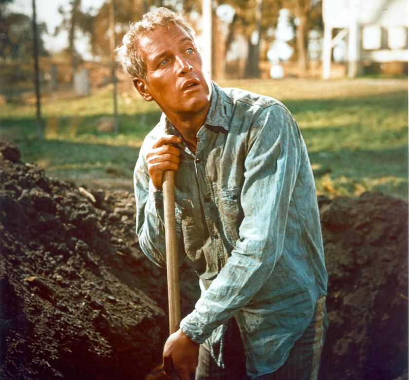 Promotional Image for Summer Movie Series